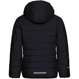 Jack Wolfskin Zenon Jacke grau 116