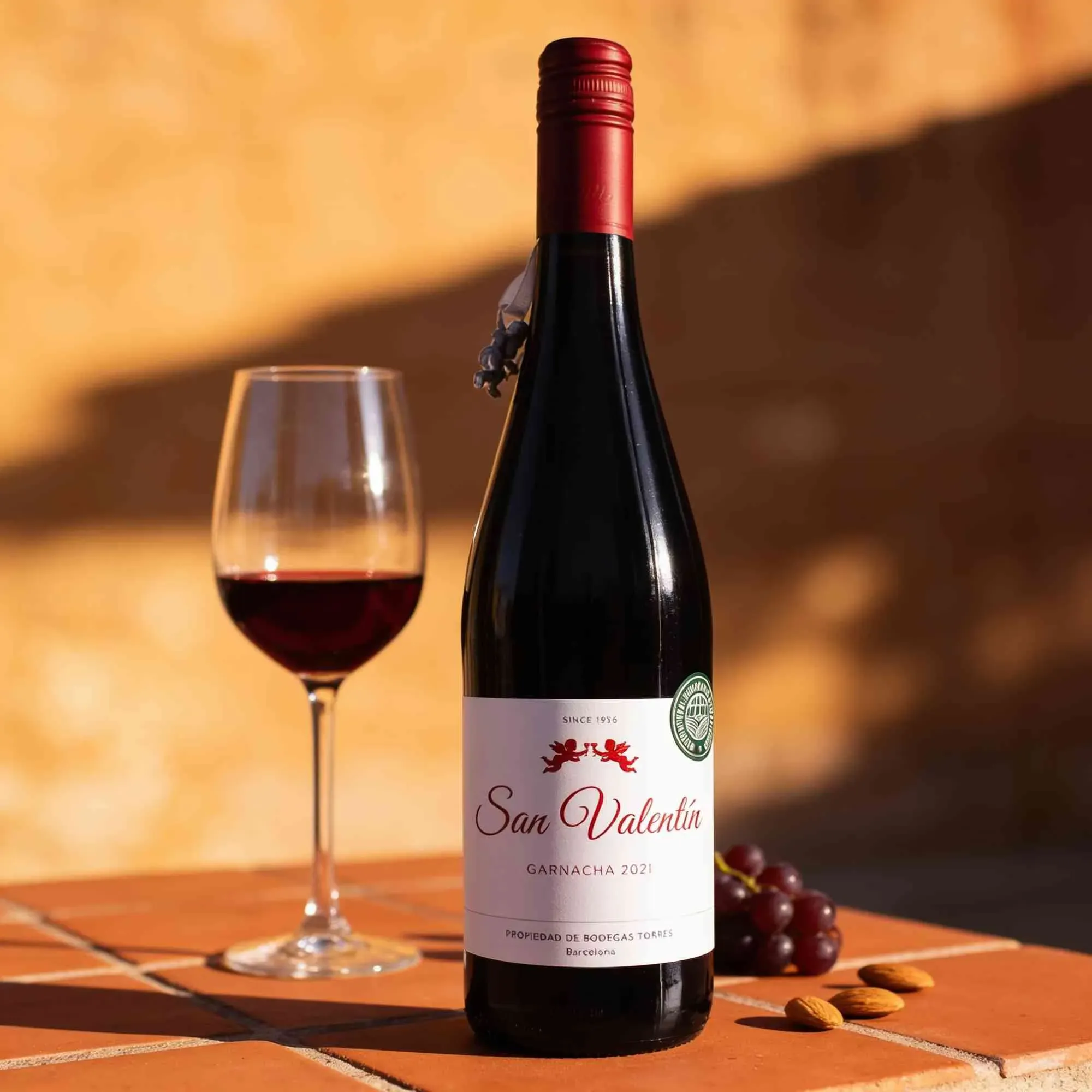 Torres 2021 Torres San Valentin Garnacha 2021 Garnacha Spanien
