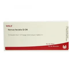 Nervus Facialis Gl D6 Ampullen