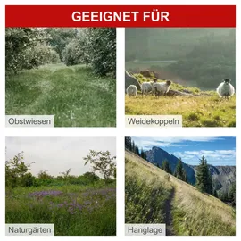 SCHEPPACH Benzin Balkenmäher BMS196-88 5,7 PS