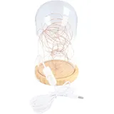 goobay Glasglocke LED-Micro-Lichterkette 5 m Warmweiß