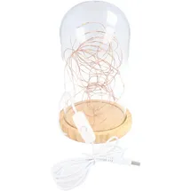 goobay Glasglocke LED-Micro-Lichterkette 5 m Warmweiß