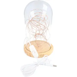 goobay Glasglocke LED-Micro-Lichterkette 5 m Warmweiß