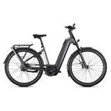 Kalkhoff Image 5+ Advance 2026 29 Zoll RH 43 cm Damen silber