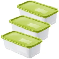 Rotho DOMINO Gefrierdosen, lime grün 1755305070 , 1 Set = 3 x 1,2 Liter