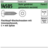 Reyher Blechschraube ISO 14585 ISR/Spitze 3,9x32 -C-T20 Stahl geh.galv.verz. 500St.