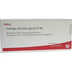 Cartilago articularis genus GL D4 10X1 ml Ampullen