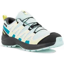 Salomon XA Pro V8 CSWP Hiking Shoes Grau EU 36