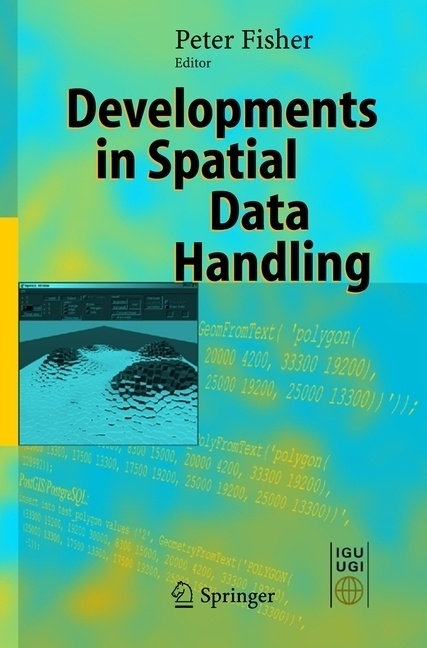 Developments In Spatial Data Handling  Kartoniert (TB)