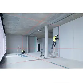 Bosch Professional GLL 3-80 C