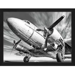 ANY IMAGE Digitaldruck »Altes Flugzeug«, Rahmen: Buchenholz, Schwarz
