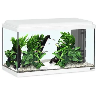 Aquatlantis Advance 60 LED Set 54,0 l weiß