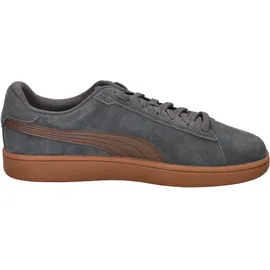 Puma Smash 3.0 Grau/Bronze 40,5