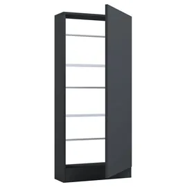 VCM Fulisa L 50 x 112 x 17 cm anthrazit