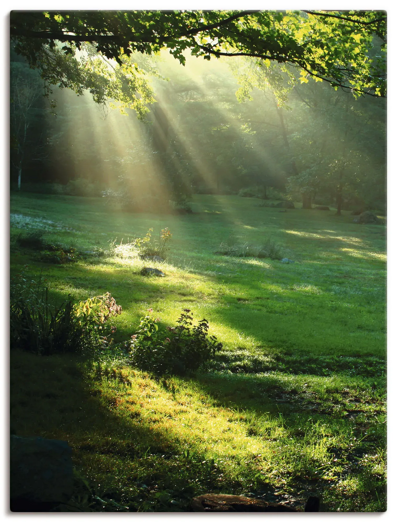 Artland Wandbild »Lichtkegel«, Wald, (1 St.), als Alubild, Outdoorbild, Leinwandbild, Poster, Wandaufkleber Artland grün