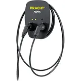 Pracht ALPHA1000 Wandladestation Typ 2 (11 kW, 32 A) 5,5 m