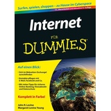 Wiley X Internet für Dummies