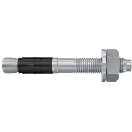 Fischer Bolzenanker FAZ II Plus 12/10 20 Stück