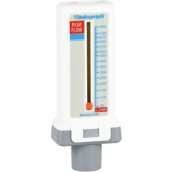 Peak Flow Meter standard