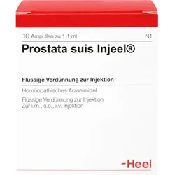 PROSTATA SUIS Injeel Ampullen 10 St.
