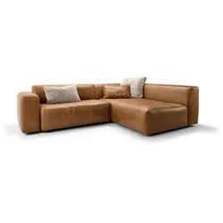 Bullfrog Ecksofa 1001 Camp Leder Gold Kupfer