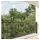 vidaXL Katzennetz Transparent 3x2 m Nylon