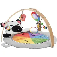 Baby Einstein Zen’s Activity MilestonesTM