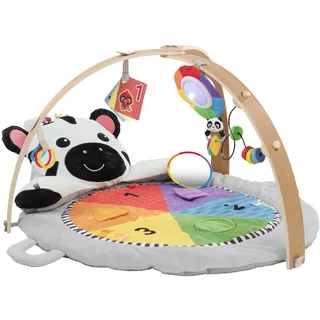 Baby Einstein Zen’s Activity MilestonesTM