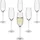 Rona Sektglas 0,15 l 6 St.