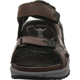 Allrounder Honduras Herren Braun 43