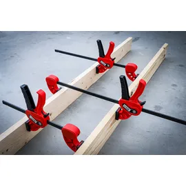 BGS Spann- und Spreizzwinge, 450 mm