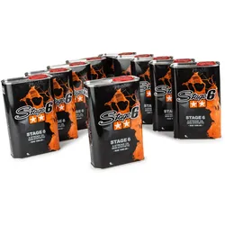 4-Takt Öl 10W40 Stage6 1L (x10)