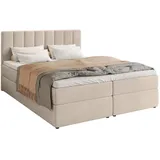 bromarkt Boxspringbett mit Bettkasten, Polsterbett, Bett Beige Cosmic 10, 160 x 200 cm, 160x200 cm, Schlafzimmer, Betten, Boxspringbetten