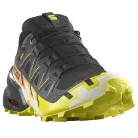 Salomon Speedcross 6 Gore-Tex Black / Sulphur Spring / Bird Of Paradise 45 1/3