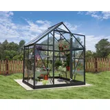 CANOPIA Palram Canopia Harmony 64 grau