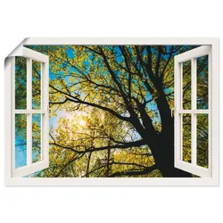 Artland Wandbild »Fensterblick Frühlingssonne Baumkrone«, Bäume, (1 St.), als Leinwandbild, Poster in verschied. Größen Artland Farbe Bild(er): grün