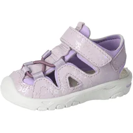 Pepino Gary Lila 25
