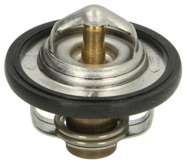 Thermostat TOURMAX TMT-301