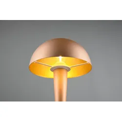Trio R59561165 LED-Tischleuchte Canaria 1x4,9W | E14 |IP20 - 470lm | 3000K - Touch-Funktion an/aus, Kaffee
