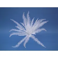 Europalms Kunstpflanze EUROPALMS Dekofarn zum Selbstfärben, künstlich, 60cm, EUROPALMS,