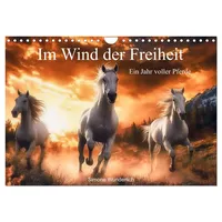 Calvendo Im Wind der Freiheit - Ein Jahr voller