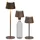 NORTHPOINT LED Tischlampe Flaschenleuchte max. 45cm hoch mit 3000mAh Akku 200lm warmweißes Licht (3000K) stufenlos dimmbar für Innen und Außen (taupe)