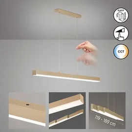 Fischer & Honsel Vayana 3-flg. LED 13 cm beige