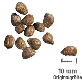 LEONARDO Fresh Beef & Poultry 4 kg