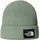 The North Face Salty Lined Beanie Grün