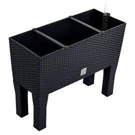 Prosperplast Rato Case High 60 x 25 x 46 cm anthrazit