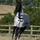 Bucas Freedom Full Neck 155 Fliegendecke Silber