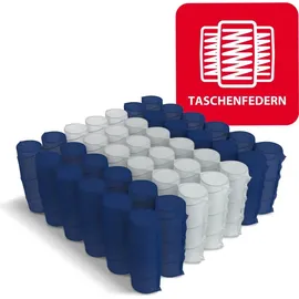 Fdm Matratze 100x200 cm CARPI 7 Zonen H2 H3 Taschenfederkern Visco Memory Schaum Latex Höhe ca. 24 cm mit waschbarem Bezug Premium Jersey