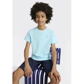 Chiemsee T-Shirt 2pack BOYS SHIRT (Packung, 2-tlg) 2er-Pack, Kurzarm, mit Rundhalsausschnitt, aus Baumwolle 146/152