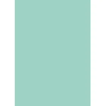 d-c-fix Selbstklebefolie Uni Lack mint 45cm x 2m